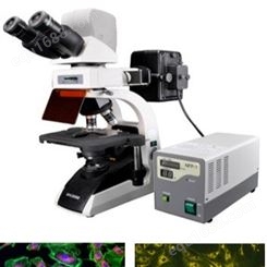 HX-2002H落射荧光显微镜   三目正置荧光显微镜 荧光显微镜 三目显微镜