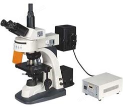 FM-50高档荧光显微镜