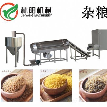 林阳机械 杂粮营养米设备 五谷杂粮营养米生产线 双螺杆膨化机设备厂家