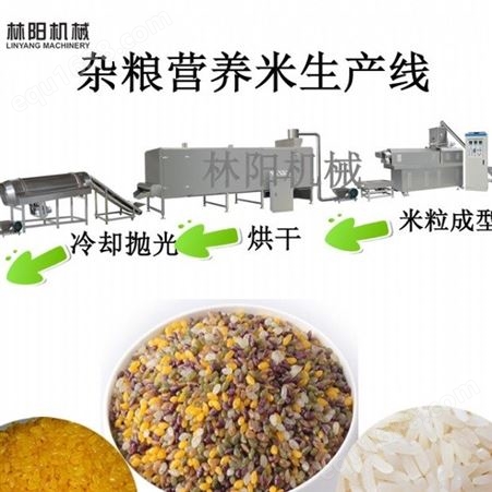 林阳机械 杂粮营养米设备 五谷杂粮营养米生产线 双螺杆膨化机设备厂家