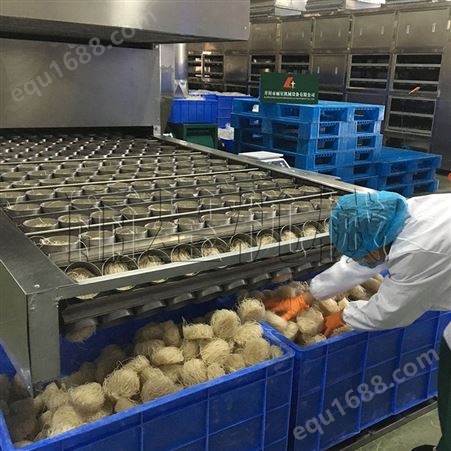 开封丽星 日产10吨速食粉丝设备生产线