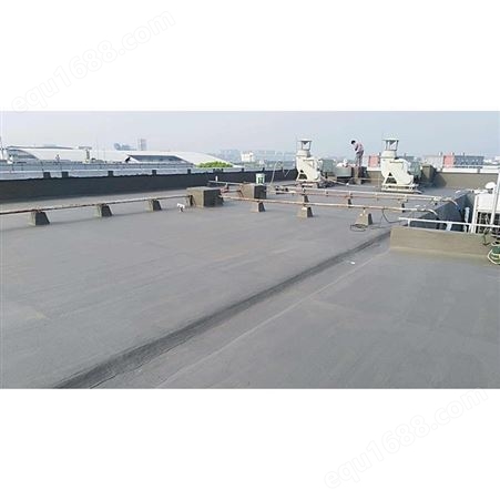 天津漏水检测 屋顶屋面防水 *