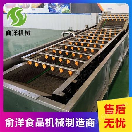 果蔬蔬菜清洗机直销 小型蔬菜清洗机直销 诸城俞洋机械