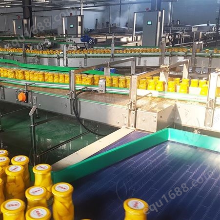 罐头生产线  加工定制自动化黄桃罐头生产线 黄桃罐头加工设备