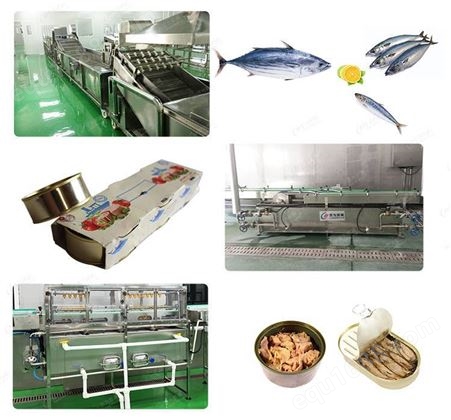鱼罐头生产线 尼为机械自动化海鲜罐头加工设备