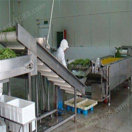 净菜加工设备 清洗蔬菜设备 农产品前处理粗加工设备