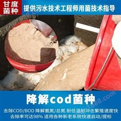 甘度上海污水处理菌种厂家 复合菌 降解cod适应性强