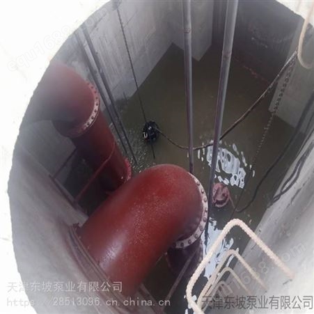 天津轴流泵供应-东坡紧急排水轴流泵