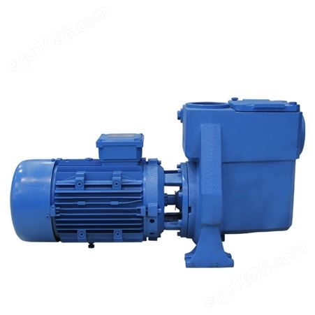 芬林泳池设备厂家 水泵厂家 水泵批发 H系列铸铁喷漆水泵