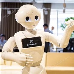 安徽本地智能机器人租赁天租大堂服务机器人