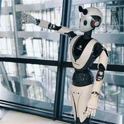 河北本地智能机器人租赁天租活动主持机器人