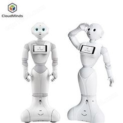 安徽本地智能机器人租赁天租迎宾接待机器人
