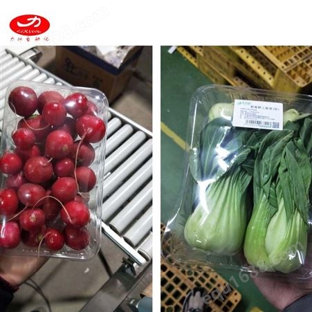 超市蔬菜保鲜膜包装机 超市水果保鲜膜打包机 水果托盒保鲜膜包装机