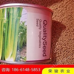 淮安市种子丸化机 质量可靠 