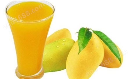 饮料厂家批发芒果汁及各种果蔬饮品