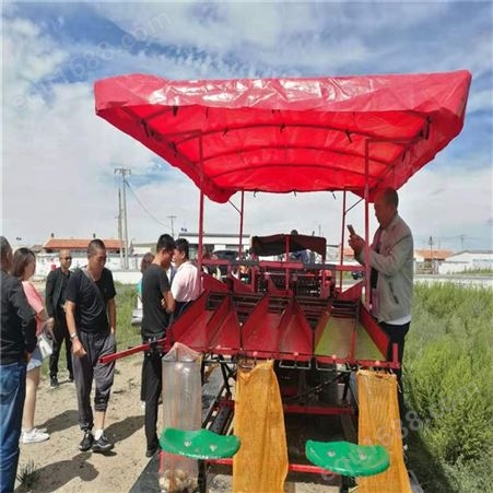 拖拉机牵引式自动装袋土豆联合收获机 红薯联合收获机wzj