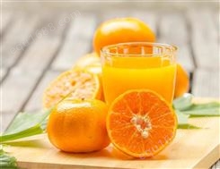 橙汁饮料招商批发300ml装