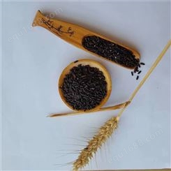 五谷香 粗粮血糯米 农家自产黑米 大量供应