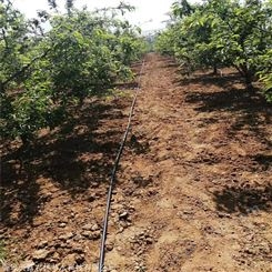 贵州省六盘水市果树灌溉设备 灌溉PE管水肥一体化