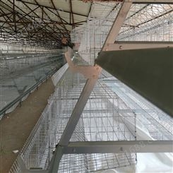 鸡笼笼网 笼网网片 层叠式鸡笼 阶梯式鸡笼 蛋鸡笼 肉鸡笼 育雏鸡笼 养鸡设备 