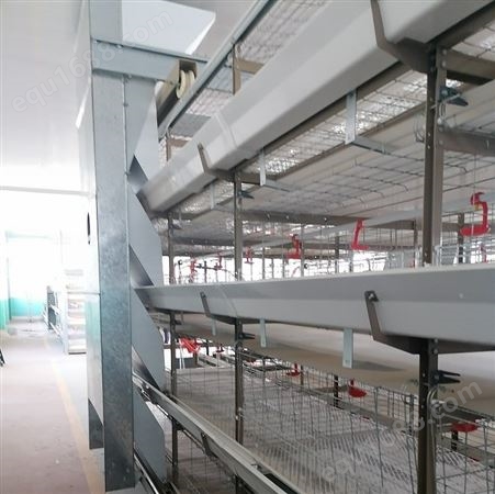 自动化养鸡设备 自动化鸡舍 传送带式清粪机 航车式喂料机 自动捡蛋机 热镀锌鸡笼 