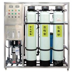 绿饮LY-1T 工业纯净水设备 反渗透直饮水设备 大型纯水设备 食品厂用纯水设备