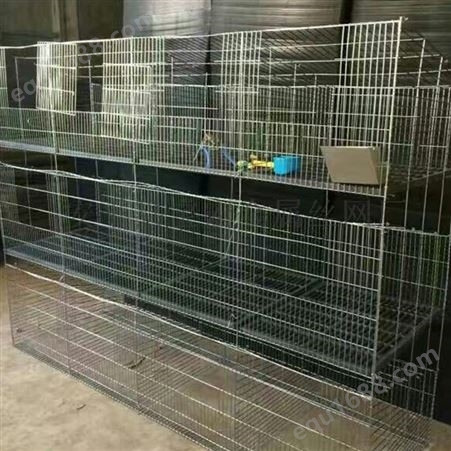 厂家供应 种兔笼九笼位 阶梯式肉兔笼厂家 兔笼规格