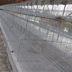 广旺 兔笼兔舍厂家 母兔笼 养殖设备兔子笼具 订购供应