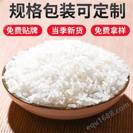 五常稻香大米 香米 东北五常大米 稻香米基地供应自产自销