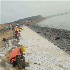 济宁嘉元工贸护坡砖多种规格可选
