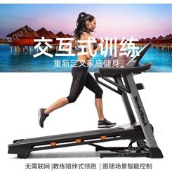 icon爱康跑步机 家用大型健身房跑步机 诺迪克T8.5S
