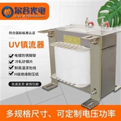 尔谷光电 UV固化机镇流器 UV系统 多型号可选 欢迎来厂视察