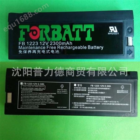 FB 1223 12V 2300MAH电池免保养充电式电池