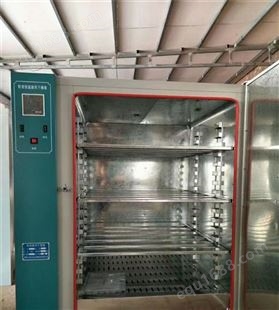 101-2型电热鼓风干燥箱 实验室试验烘箱 高温烤箱