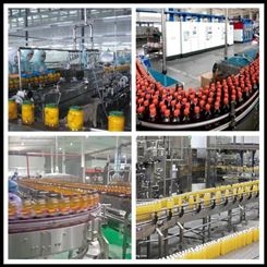 贵州八月瓜果汁饮料加工设备 时产5000瓶野香蕉饮料整套设备 中意隆