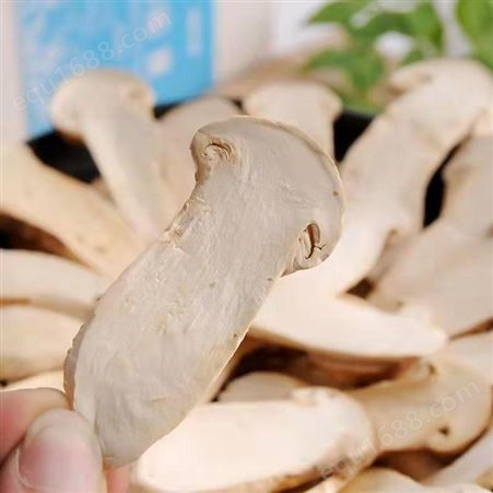 松茸干片价格 丽江兴禾农业种植有限公司