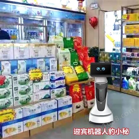 陕西迎宾机器人 智能领位 讲解接待 产品宣传 送餐揽客 招待送货机器人