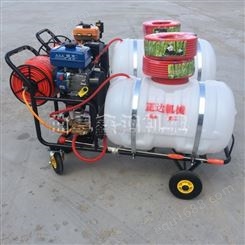 汽油推车式喷雾器 拉管式电动打药机 200L带桶汽油喷雾器