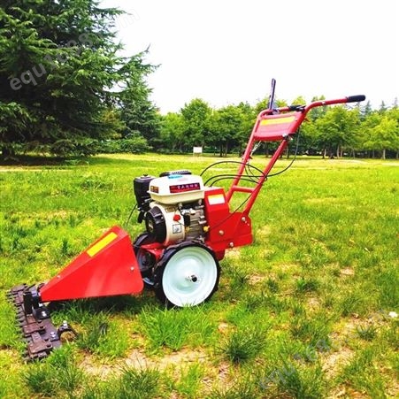 草坪修剪剪草机 多型号汽油牧草割草机 手推宽幅剪草机