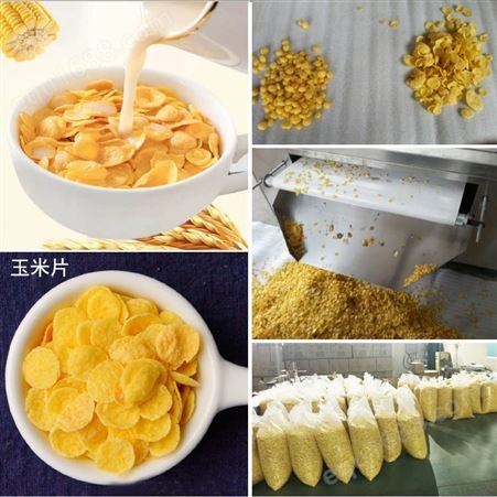 济南泰诺机械 早餐玉米片加工设备 即食杂粮玉米片生产线机器