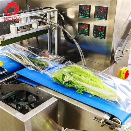 蔬菜分拣包装台 果蔬食品包装机器 山东朗正设备