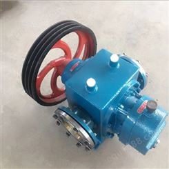 电动铸铁卧式高压油泵 供应小型高压齿轮泵 不锈钢真空泵 高粘度罗茨泵