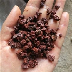 红火山石块 多肉介质颗粒土植料黑火山石颗粒 园艺水族黑色火山岩滤料