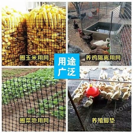 圈玉米网 黑色塑料养殖网  鸡鸭漏粪网 圈地防护网