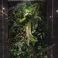 上海生态植物墙施工 室外外墙植物墙
