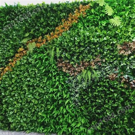 苏州植物墙施工 绿色仿真植物墙