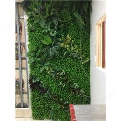 生态植物墙工程 江苏橱窗装饰植物墙制造