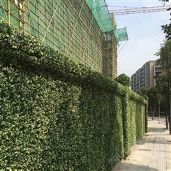 江苏写字楼生态植物墙施工 绿色仿真植物墙