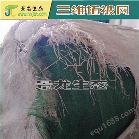 厂家直供 三维植被网 土工网垫 三维土工网