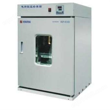 DNP-420电热恒温培养箱